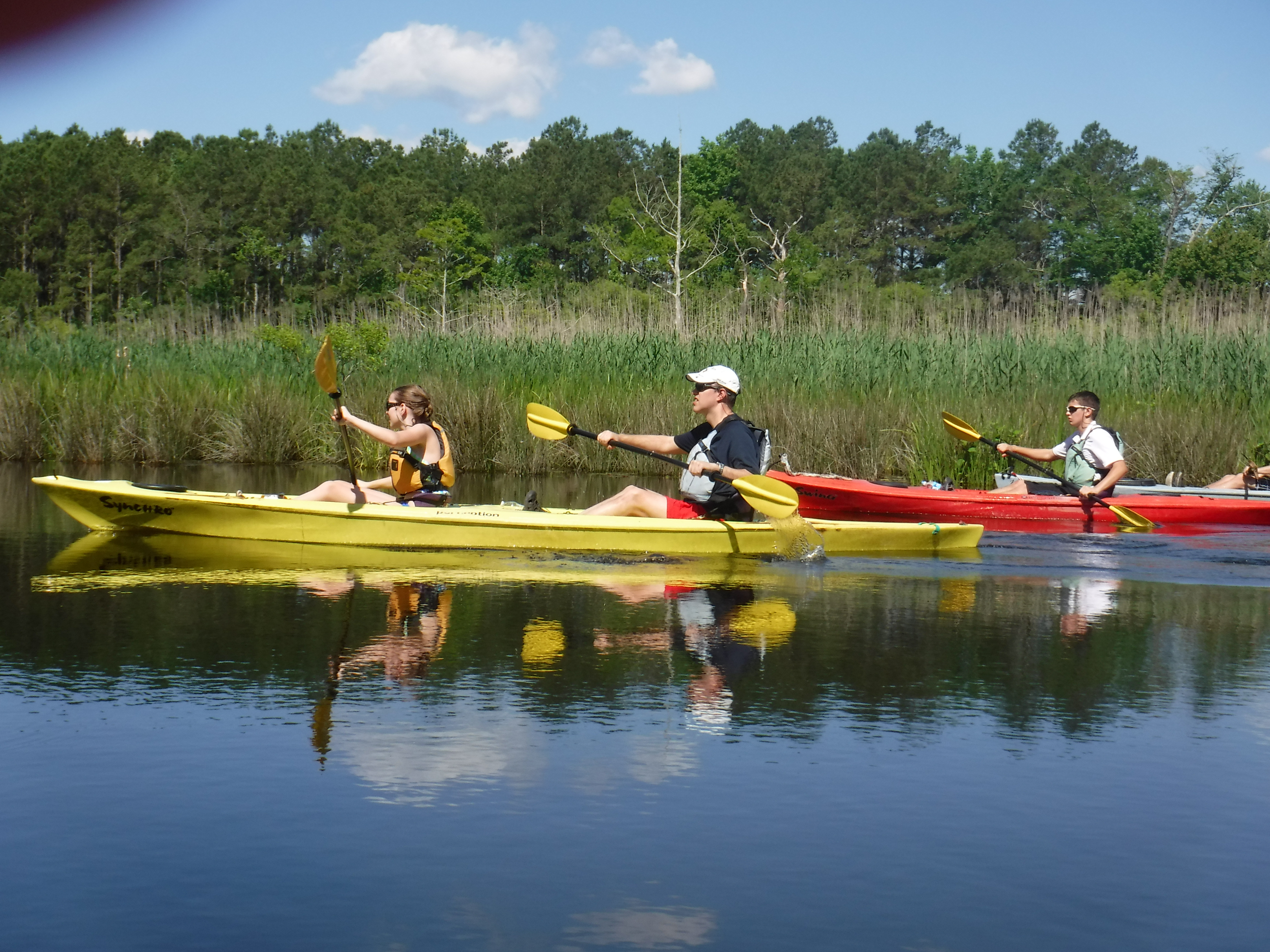 va beach sea kayaking