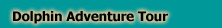 Dolphin Adventure Tours